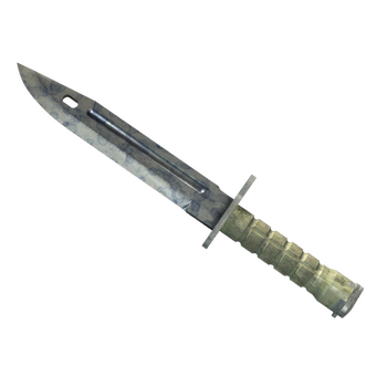 ★ Bayonet | Stained, После полевых испытаний
