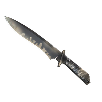 ★ Classic Knife | Scorched, Field-Tested