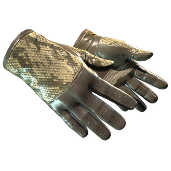 ★ Driver Gloves | Diamondback, После полевых испытаний