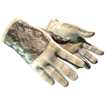★ Driver Gloves | King Snake