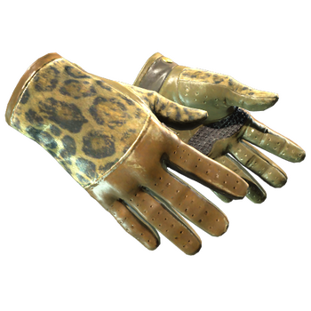 ★ Driver Gloves | Queen Jaguar, После полевых испытаний