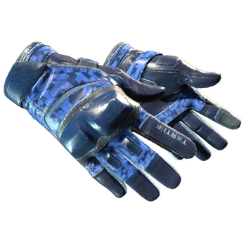 ★ Moto Gloves | Polygon, После полевых испытаний