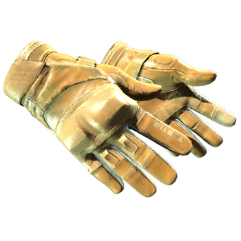 ★ Moto Gloves | Transport, Field-Tested