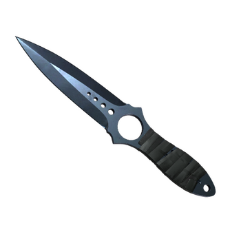 ★ Skeleton Knife | Blue Steel, После полевых испытаний