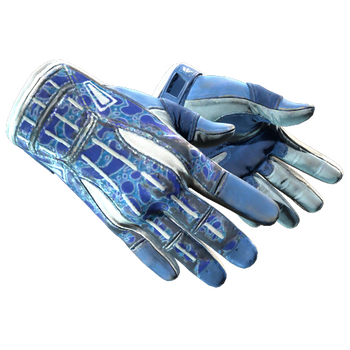 ★ Sport Gloves | Amphibious, Field-Tested