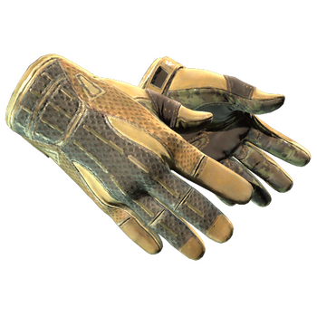 ★ Sport Gloves | Arid, Field-Tested
