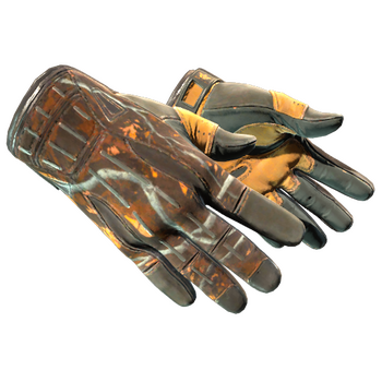 ★ Sport Gloves | Big Game, После полевых испытаний