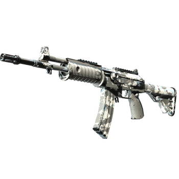 Galil AR | Winter Forest, Field-Tested