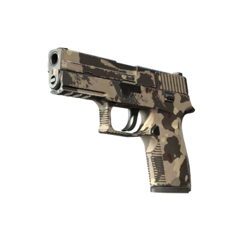 P250 | Black & Tan, После полевых испытаний