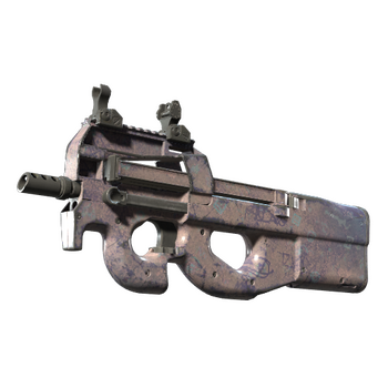 P90 | Wash me, Field-Tested