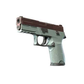 P250 | Copper Oxide, Field-Tested