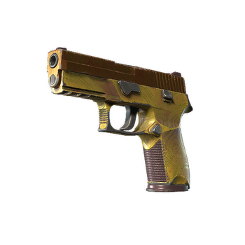 P250 | Sedimentary, Field-Tested