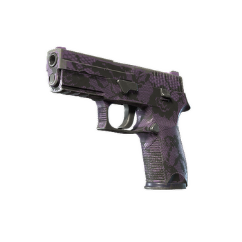 P250 | Plum Netting, После полевых испытаний