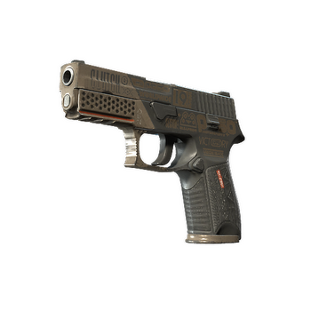 P250 | Bullfrog, Field-Tested