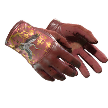 ★ Driver Gloves | Brocade Crane, После полевых испытаний
