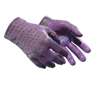 ★ Driver Gloves | Plum Quill, Field-Tested