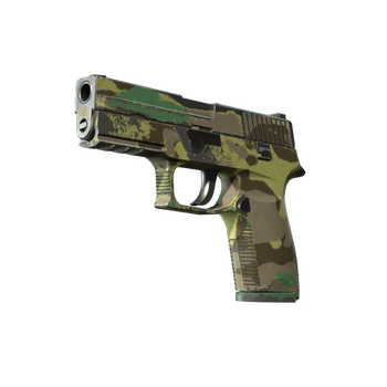 P250 | Boreal Forest, После полевых испытаний
