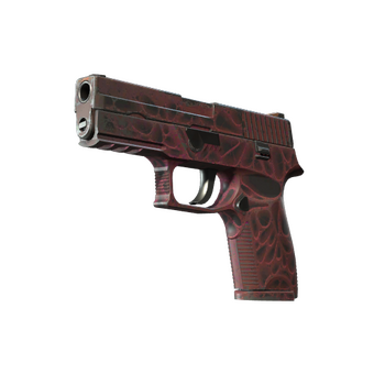 P250 | Contaminant, Field-Tested