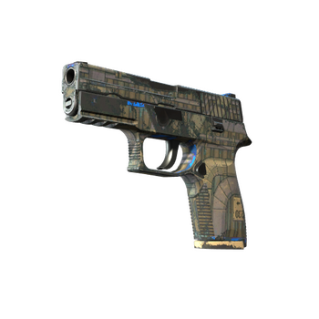 P250 | Exchanger, Field-Tested