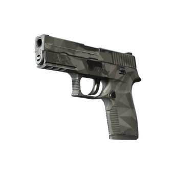 P250 | Facets, После полевых испытаний