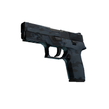 P250 | Forest Night, После полевых испытаний