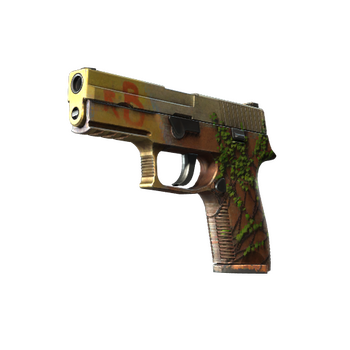 P250 | Inferno, После полевых испытаний