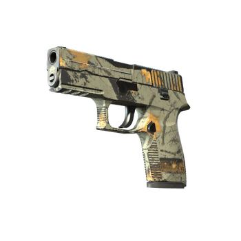 P250 | Modern Hunter, Field-Tested