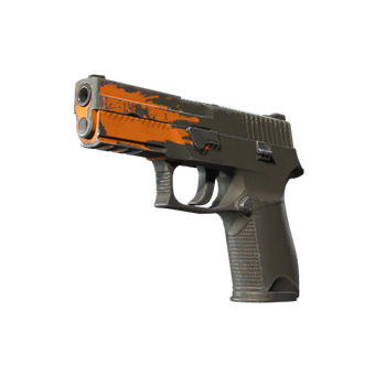 P250 | Splash, Field-Tested