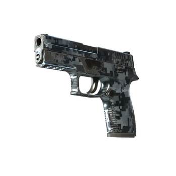 P250 | Steel Disruption, Field-Tested