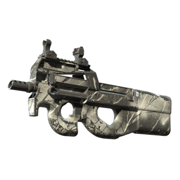 P90 | Ash Wood, После полевых испытаний