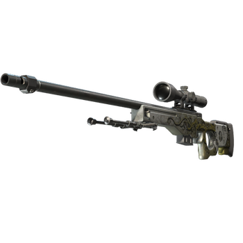 AWP | Worm God, После полевых испытаний